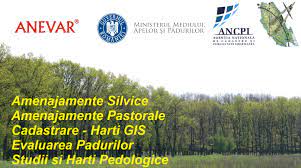 Protectia juridica a fondului forestier. Protectia Juridica A Padurilor Casa De ExpertizÄ Transilvania