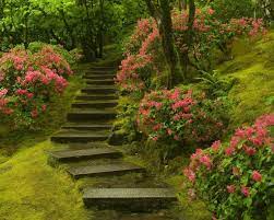 Serene Japanese Garden Beautiful Gardens Garden Stairs