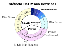 Calculadora Fertil Com Grafico Calcas Masculinas Na Moda