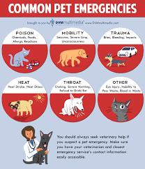Emergencies Hunt Valley Animal Hospital