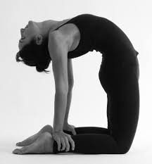 Kneel on your mat with the knees and thighs benefits of camel pose: 63 Camel Pose Ustrasana Mark Stephens Yoga