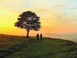 Find beamsville in long term rentals | looking for an apartment or condo for rent? Condos Coming Soon To Beamsville New Horizon Development Group