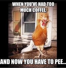 Chicken Coop Meme At memesmonkey.com find thousands of memes categorized into thousands of categories. chicken coop meme