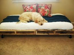 We did not find results for: Pin By Sonia Mara Maas On Home Design Diy Projects Diy Dog Bed Dog Bed Furniture Pallet Furniture