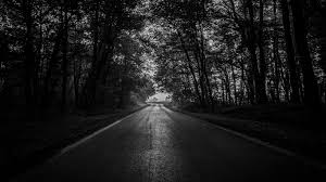 Follow the vibe and change your wallpaper every day! Download Wallpaper 1366x768 Road Trees Bw Dark Forest Tablet Laptop Hd Background