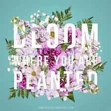 Floral typography background decoration flower ornate decorative decor pattern ornament element vintage floral typography free vector we have about (10,338 files) free vector in ai, eps, cdr, svg. 40 Floral Typography Designs That Combine Flowers Text