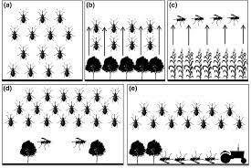 However, the plant is still responsible for making sure that the procedures described below are being followed and that recommendations from the outside. When Natural Habitat Fails To Enhance Biological Pest Control Five Hypotheses Sciencedirect