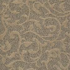 Check spelling or type a new query. Shaw Industries Lucid Ivy Mink Carpet Seattle Washington Vogel S Carpets