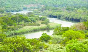 Image result for Burkea