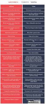 Arteries Versus Veins Arteries And Veins Diagnostic Medical Sonography Student Arteries