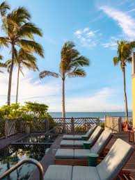 Image result for Faroa pusilla