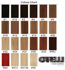 Capelli Extensions International Colour Chart Clip Ins And