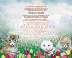 Rainbow Bridge With Cats Stationary Sentimental Print Perfect For Framing Neighbor Loss Of A Pet Friend Loss Of A Cat By Pet Poems Rainbow Bridge Cat Gifts