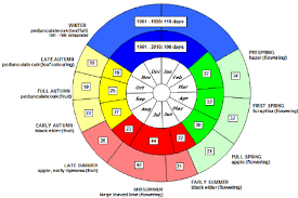 Phenological Clock For Germany Indicator Phases Mean