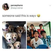 Pin By Marili Burger On Nct Funny Kpop Memes Nct Nct Life