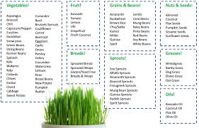 64 Actual Alkaline Diet Foods Chart