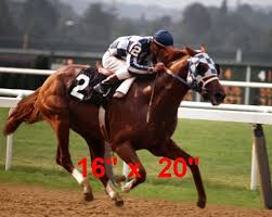 Secretariat Triple Crown Winner Horse Racing Poster 3 Color Photo 16 X 20 Secretariat Horse Horses Belmont Stakes
