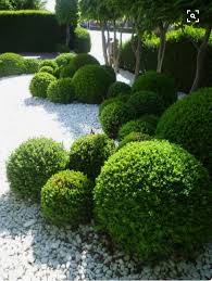 Balls Of Topiary In A Modern Minimalist Garden Design In 2020 Minimalist Garden Outdoor Landscaping Landscape Design