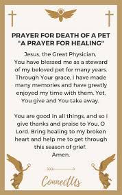 5 lessons i learned while grieving the loss of my pet. 10 Uplifting Prayers For Death Of A Pet Connectus