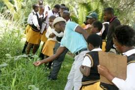 Image result for Chrysophyllum gorungosanum