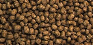 Daily feeding recommendations typical analysis. Is Your Puppy Ready For Adult Dog Food Iams