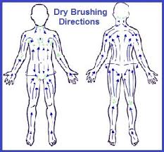 Dry Brushing Lymphatic System Balancedwomensblog Com Dry