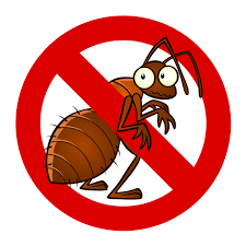 Find wildlife control near you. Best Pest Control Near Me Earl Jr Custom Built Rides