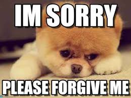 40 Adorable I M Sorry Memes People Won T Be Able To Resist Sayingimages Com Sorry Memes I M Sorry Memes Sorry Images