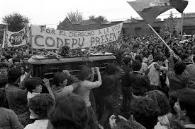 La propia familia confirmó esta mañana que falleció luis toledo, madre de los hermanos vergara toledo, asesinados durante la dictadura militar de augusto pinochet. Facebook