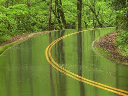 Over 40,000+ cool wallpapers to choose from. Rain Forest Road Hd Wallpapers Free Download Wallpaperbetter