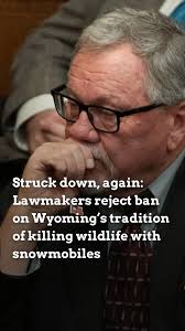 Freshman representative Mike Schmid, whose district includes Daniel — site  of the infamous torture wolf incident — tried and failed twice