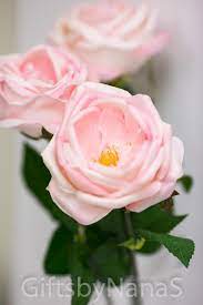 We did not find results for: Pink Real Touch Flowers Real Touch Roses Light Pink Silk Etsy Real Touch Flowers Flower Centerpieces Flowers