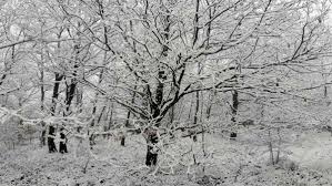 1842, in the meaning defined above. Neve E Vento Forte E Codice Giallo In Provincia Di Arezzo L Elenco Dei Comuni Interessati