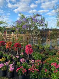 Springtime Farms Adventure Park And Petting Zoo In North Fort Myers Florida Picture Of Springtime Farms Adventure Park Fort Myers North Fort Myers Tripadvisor
