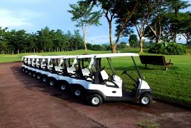 All of the lithium golf batteries are 48 volt but by increasing capacities, increased cart driving range is achieved> the battery capacity is expressed in 48 and 36 volt allied lithium golf battery cycles vs 12 volt lead golf cart battery cycles. Lithium Golf Cart Batteries Sale Ev Lithium Battery Suppliers Lithium Battery Store