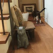 おかーさん たいへんです もう一匹きてます きんちょうしてるのか 石のように固まって だまっています なにか こころがやすらぐ おいしいおやつを あげたらどうかと おもいます たびにーちゃん 越智香住 インテリア 家具 石田ゆり子 インテリアアーキテクチャ