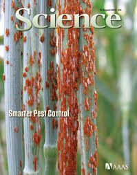 Our pest control charges in delhi ncr and chennai start at rs 700. The Pesticide Paradox Science