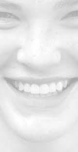 Special events slated to commemorate 75th anniversary of Virginia State  Parks