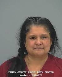 Pinal County Sheriff's log 12/22/23