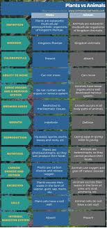 Maybe you would like to learn more about one of these? Difference Between Plants And Animals Compare The Difference Between Similar Terms