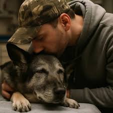 Unconditional love like a dog