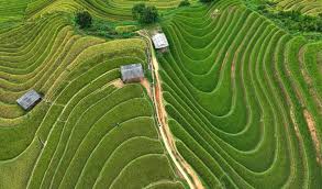 Vietnam's breathtaking Mu Cang Chai rice fields