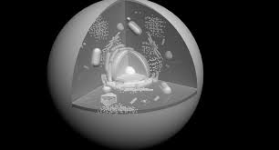 Maybe you would like to learn more about one of these? Animal Cell 3d Model 16 Max Unknown Free3d