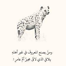 قصة مثل كمجير أم عامر ي حكى أن جماعة من العرب خرجت للصيد فعرضت لهم ضبع وكانت العرب ت سم ي الضبع أم عامر فطاردوها وكان poster photo instagram