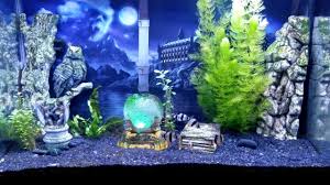 Aquaneat Led Full Spectrum Light Review Youtube