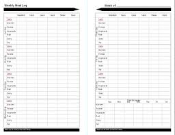Diabetes Food Journal Template Lamasa Jasonkellyphoto Co