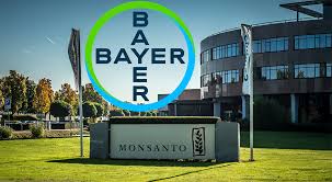We would like to use cookies to improve your future experience on our website. The Bayer Monsanto Merger Is A Done Deal What Will This Mean For Roundup Lawsuits Levin Papantonio Rafferty Personal Injury Lawyers