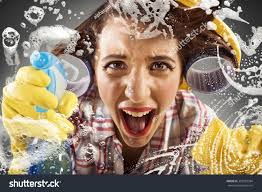 Busy Lizzy's House Cleaning Service