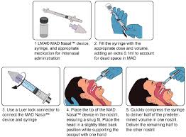 Image result for Medication Route