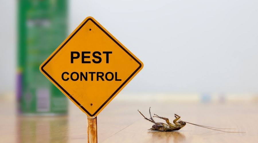 Commercial Pest Control Service in Sector 45 Gurgaon product image